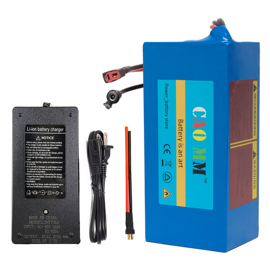 36V 10Ah Lithium Battery with 5A Fast Charger T Plug for 750W Electric Bike