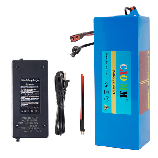 48V 10Ah Ebike Battery with 5A Fast Charger for 1000W Electric Bike