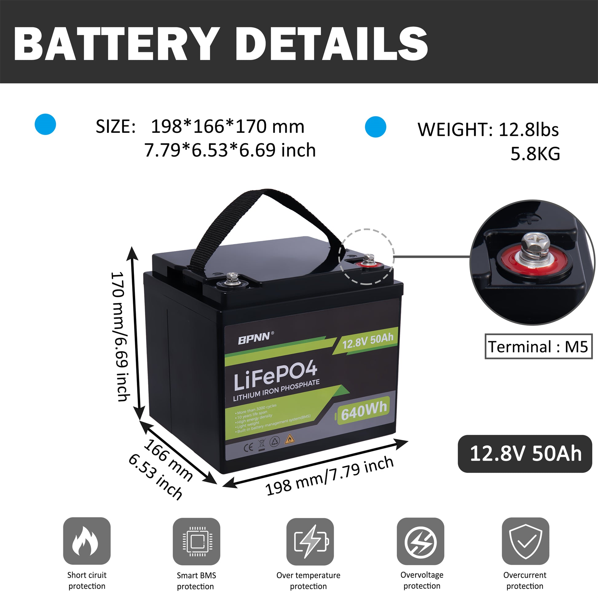 BPNN 12V 50Ah LiFePo4 Lithium Battery 50A BMS 3000+ Cycles Battery